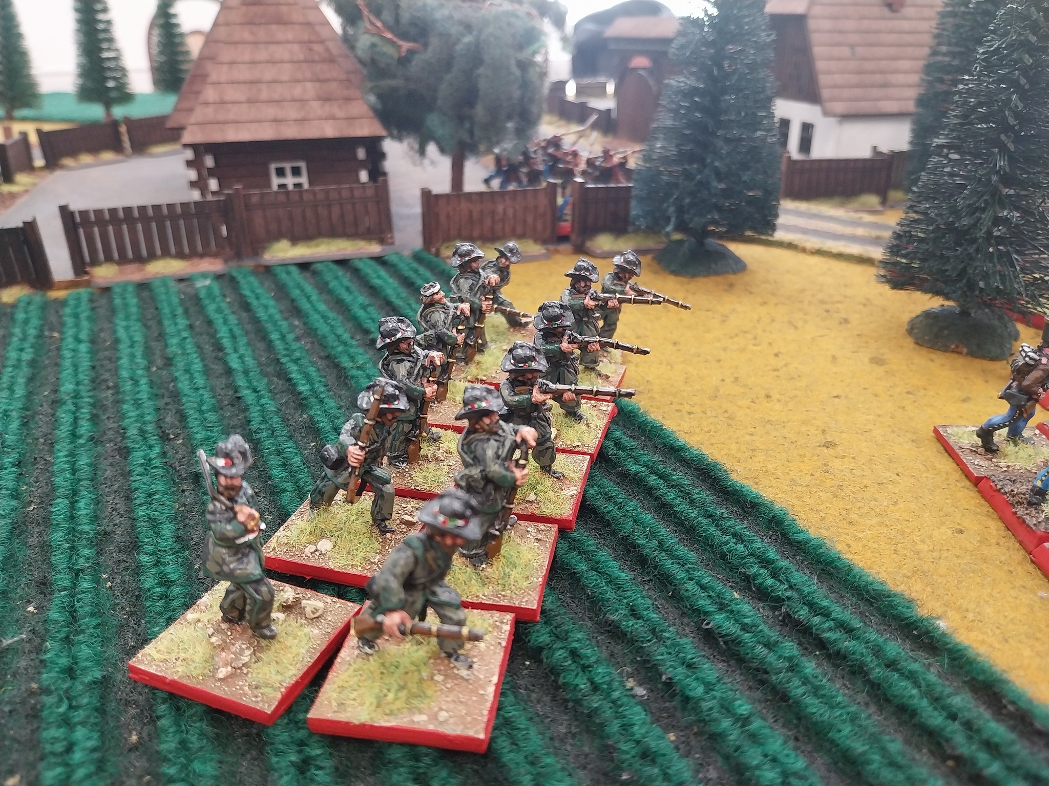 b11.jpg