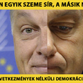 Orbán két szeme