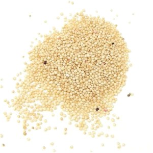 amaranth-jpg.jpg