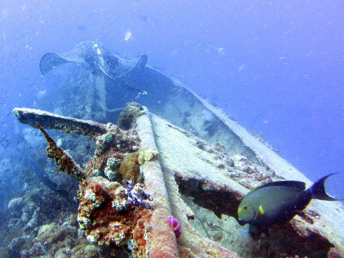 yongala-ship-wreck.jpg