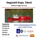 Rádiótávirányítású, úszóképes hajómodellek versenye Tokodon