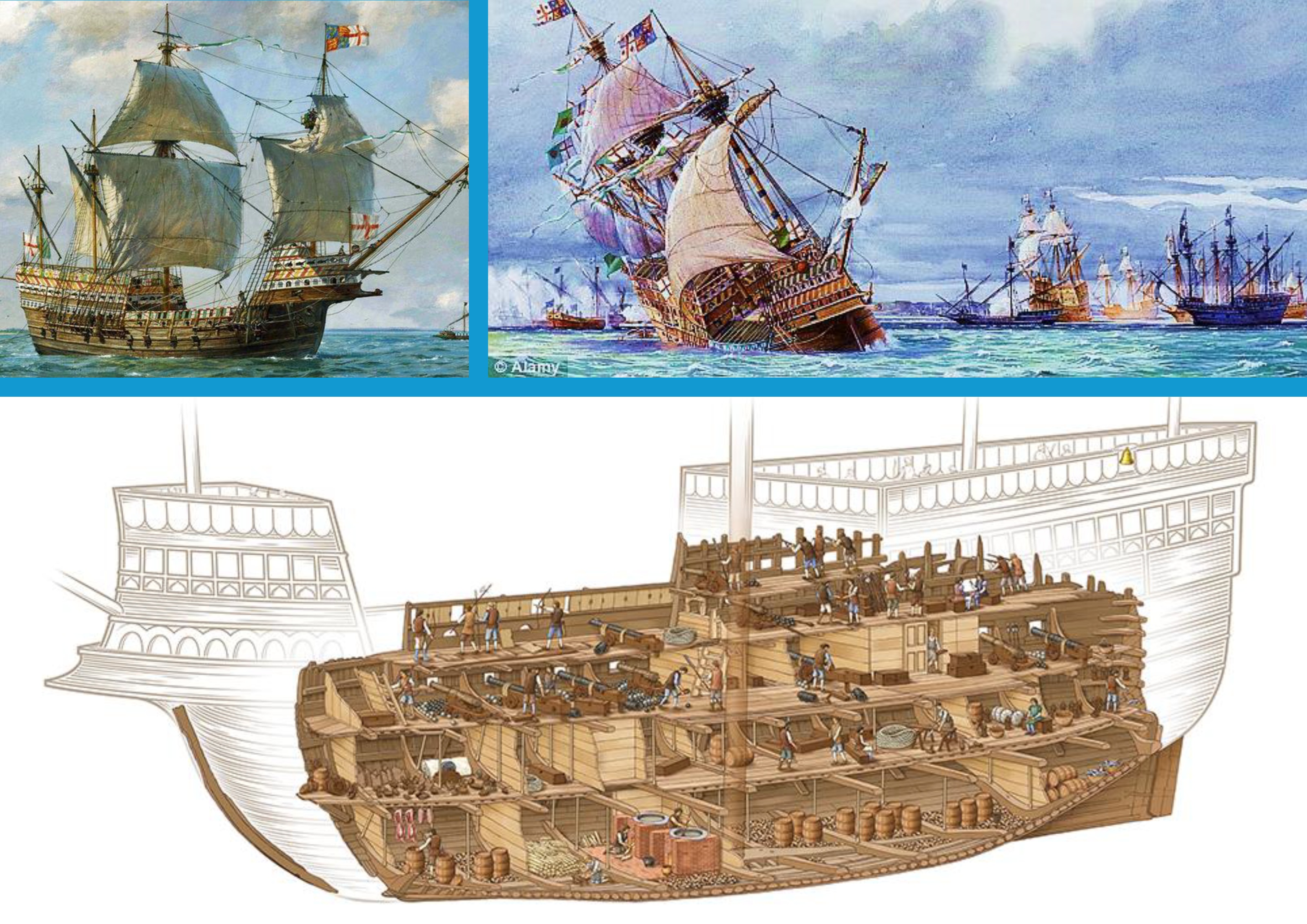 mary_rose_trust_01.jpg