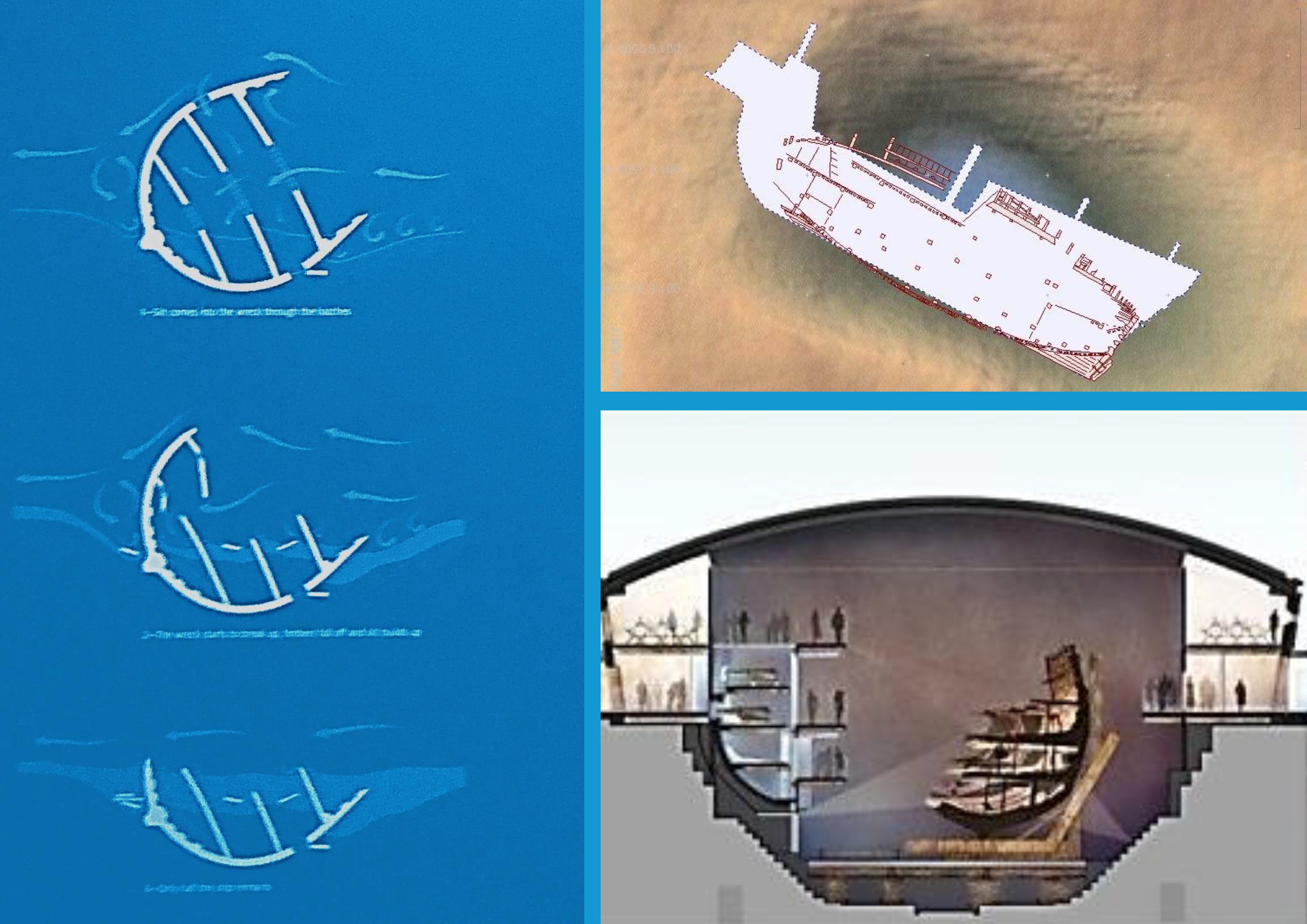 mary_rose_trust_02.jpg