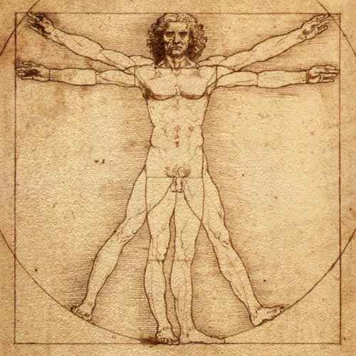 vitruvian-man-leonardo-da-vinci.jpg