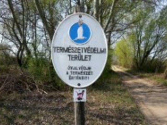 Megmenekül a Fejeték!