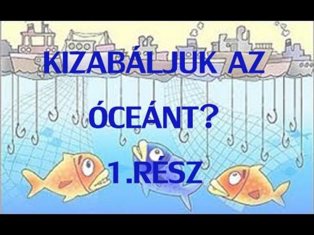 Kizabáljuk az óceánt? Interjúsorozat első része