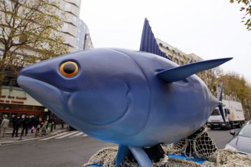Bluefin-Tuna-ICCAT-11-29-2010.jpg