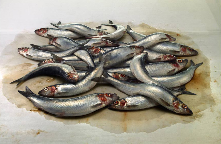 Herring1.jpg