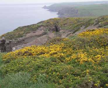 british coast.jpg