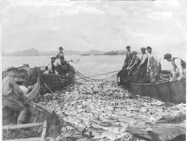 cod-fishing-2-1921-ci.jpg