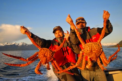 goldenkingcrab_0_0.jpg