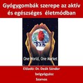 Meglepő információk:Interjú idösebb Dr. Deák Sándor belgyógyász szakorvossal.