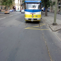 Szegedből sose elég!