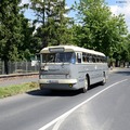 Tapolca, Ikarusok: a három kedvencem a busztalálkozóról