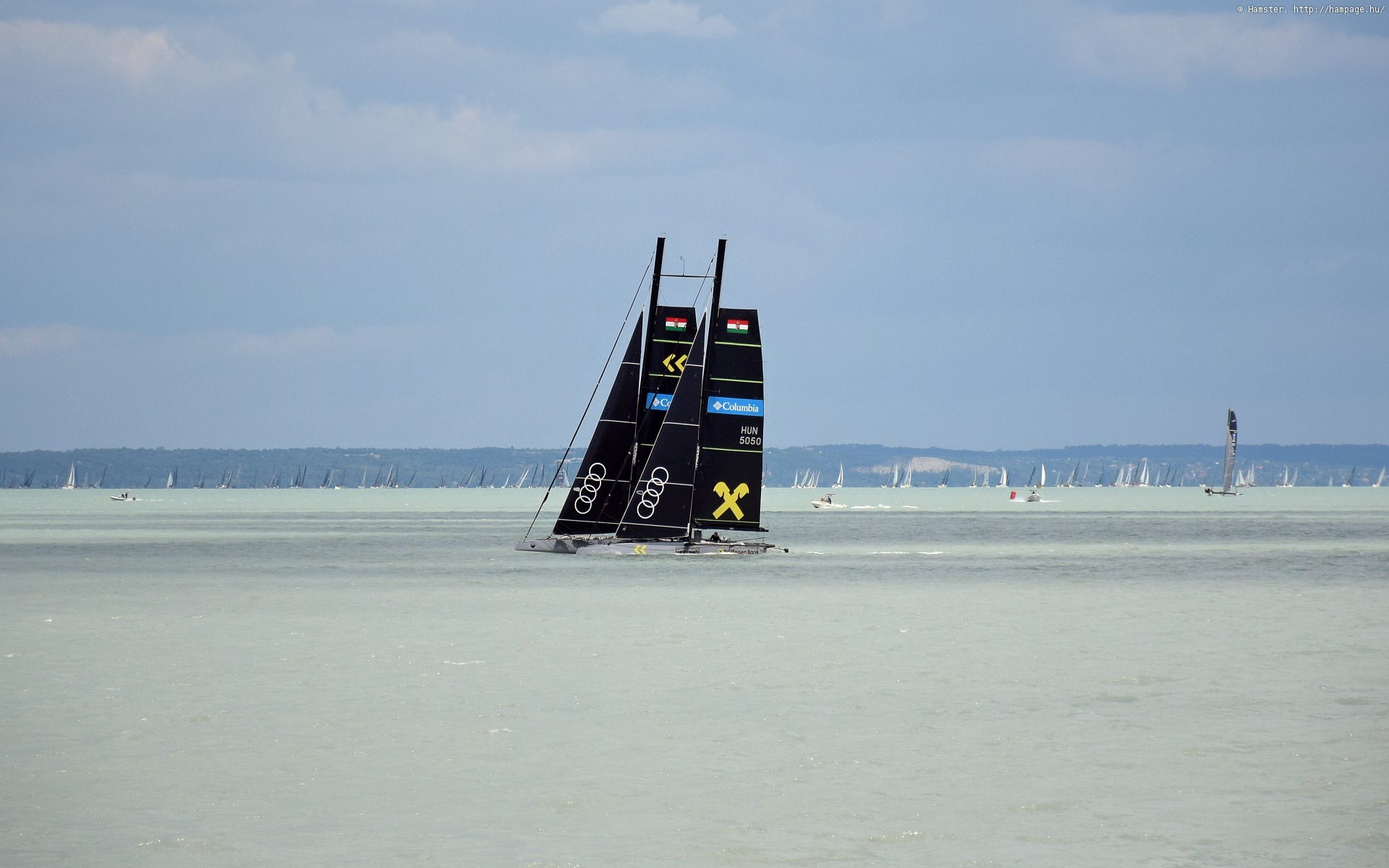 dsc_3677d.jpg