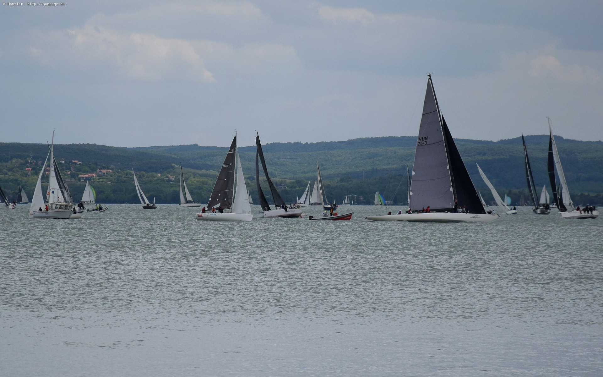 dsc_3822.jpg