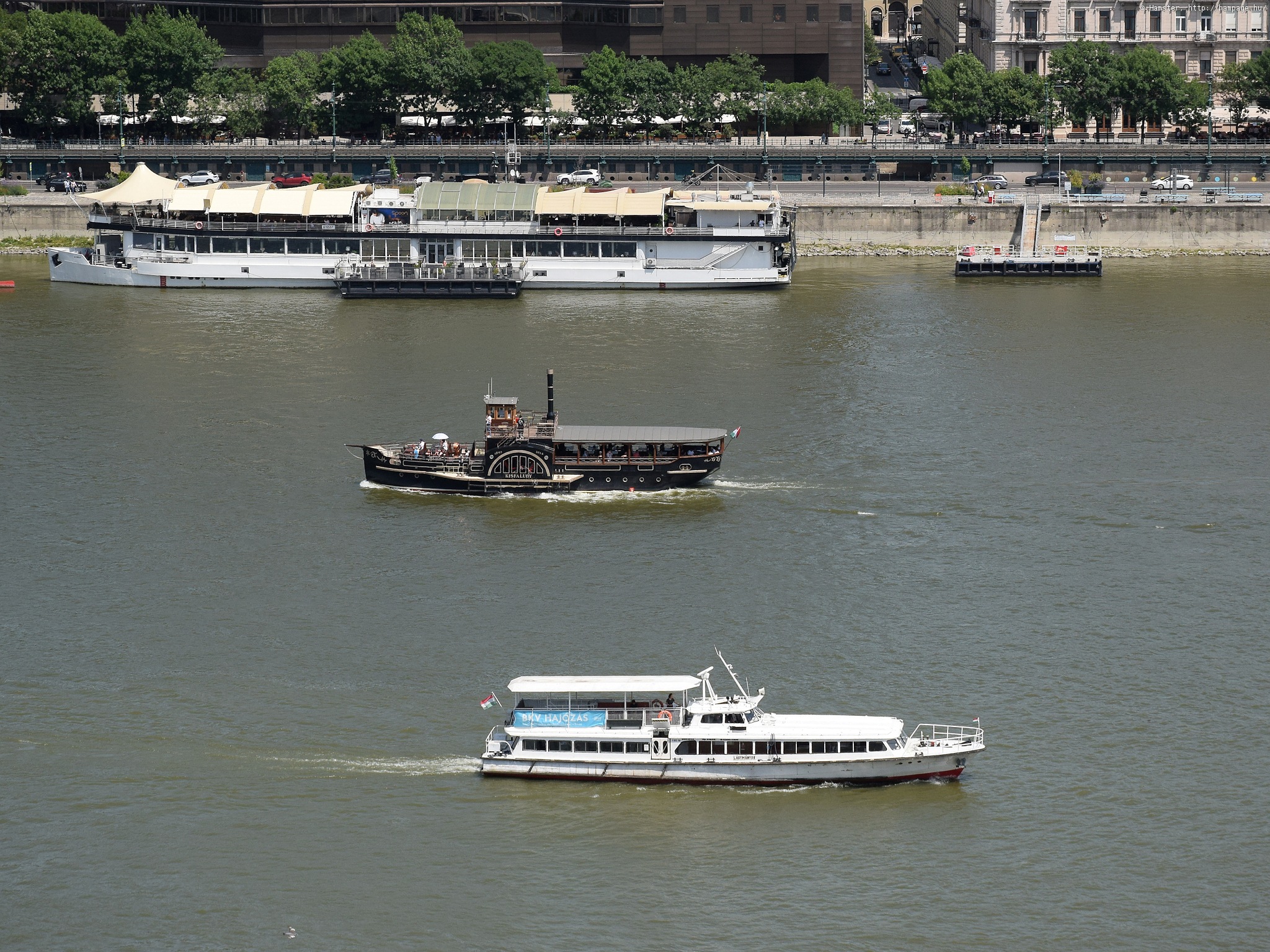 dsc_4892.jpg