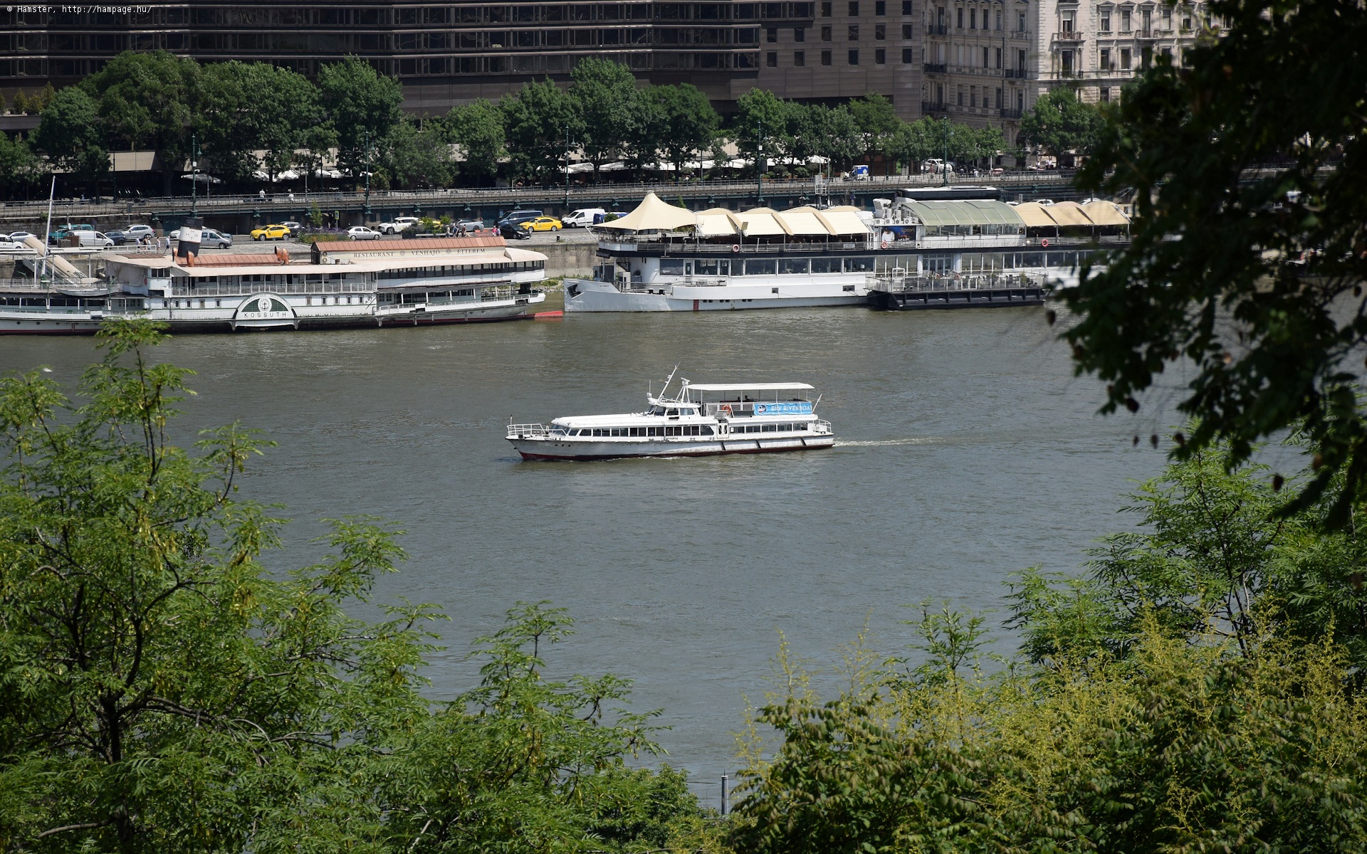 dsc_4959.jpg