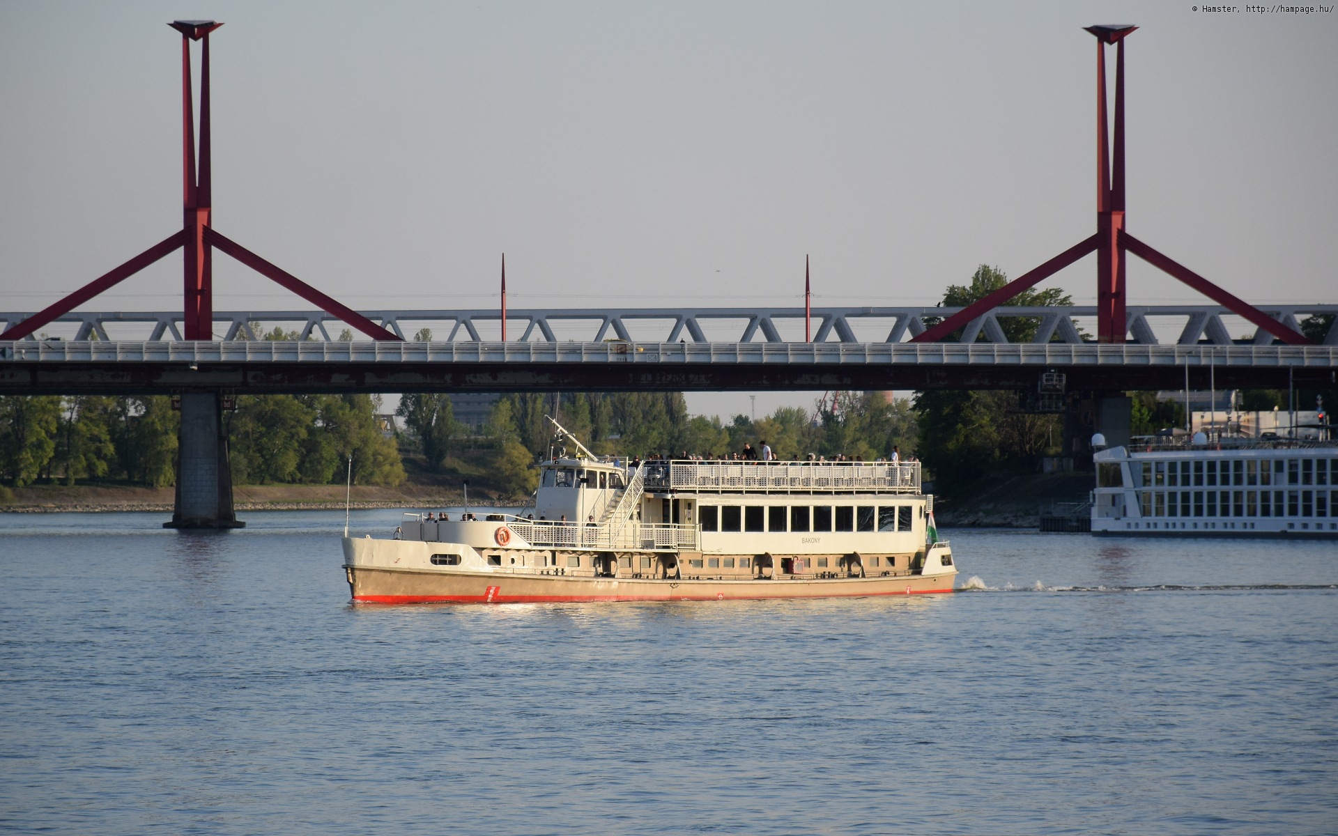 dsc_6476a.jpg