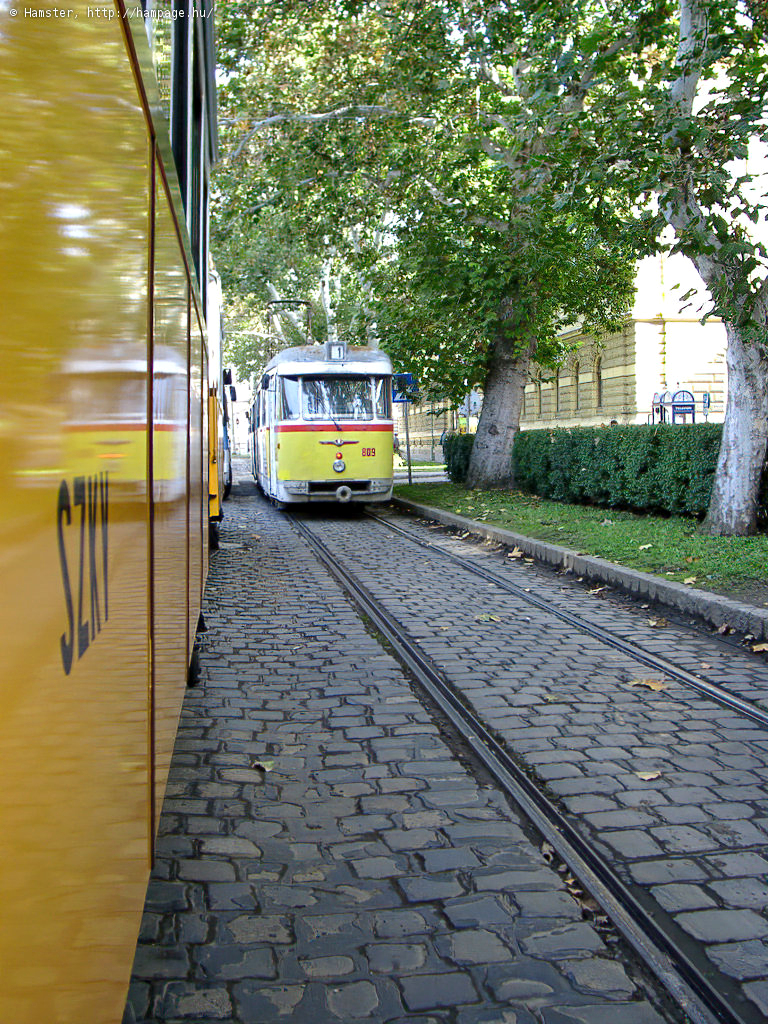 10260069.jpg