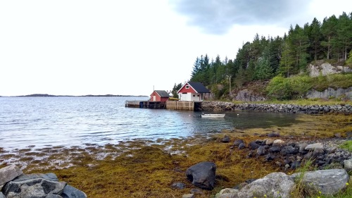 ‘Norwegians just live everywhere‘. Akármerre sétál az ember, ezen sziget partján könnyen lel eldugott házikókra.