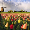 Ha tavasz, akkor Hollandia!