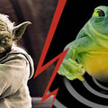 Ötödik összecsapás: Yoda vagy Zsolti a béka?