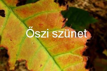 oszi_szünet.JPG