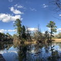 Houston Arboretum and Nature Center és a Galleria! 2019.01.27.