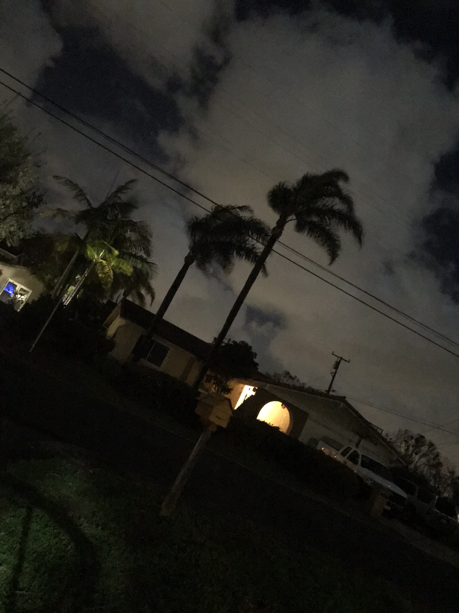 img_6177.jpeg