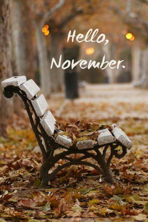 hello_november.jpg