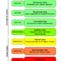 13. /5) Kommunikációs könyvtárak: Ethernet