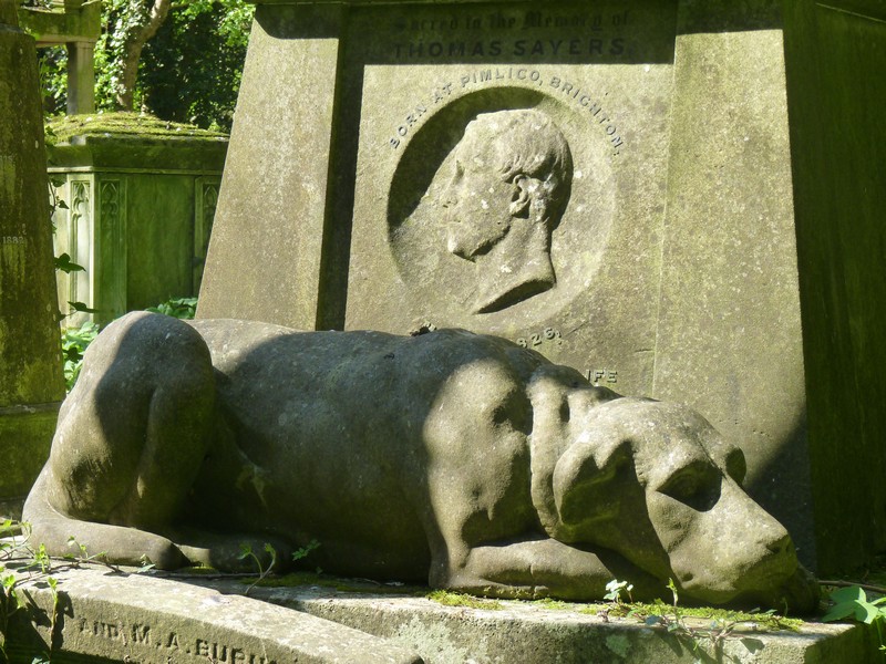 Lion, Thomas Sayers bokszbajnok kutyája
