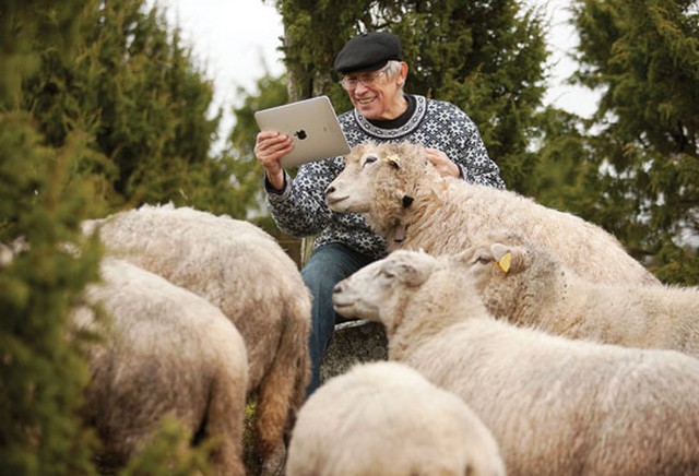 Észtország, pásztor iPaddel.jpg