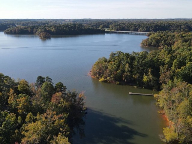 Nekivágtunk Amerikának