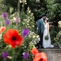 Anglia legboldogabb (és legolcsóbb) esküvője