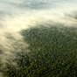 Lángoló Amazonas