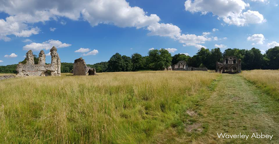 030_waverley_abbey.jpg