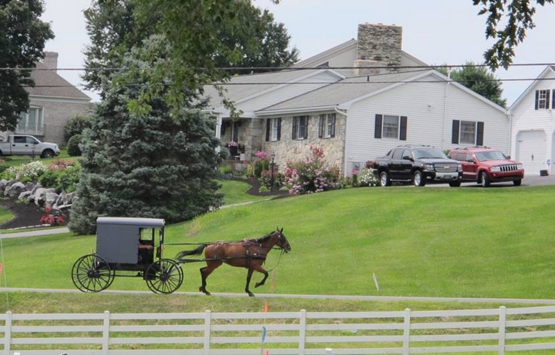 amish.jpg