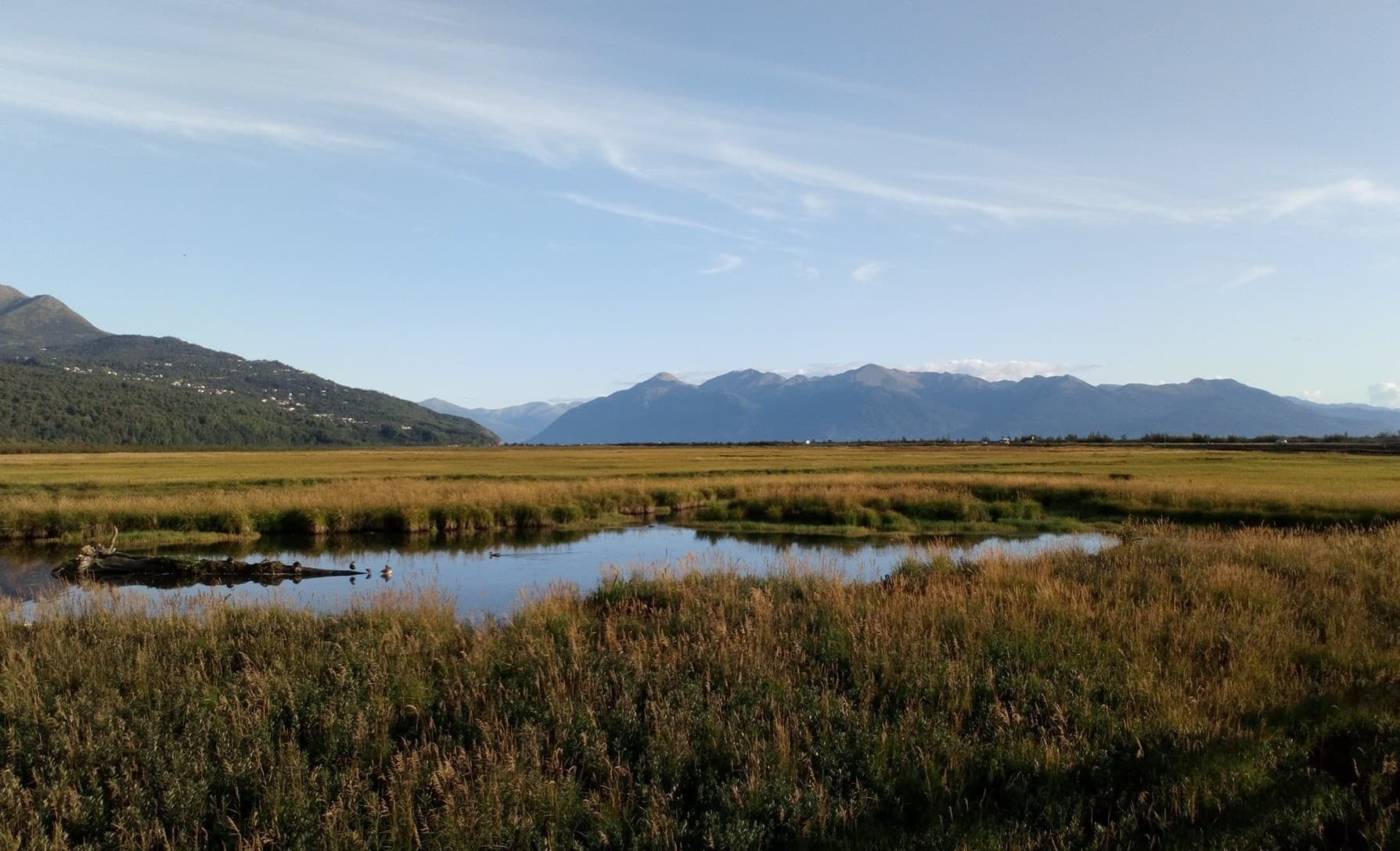 cim_potter_marsh_boardwalk.jpg