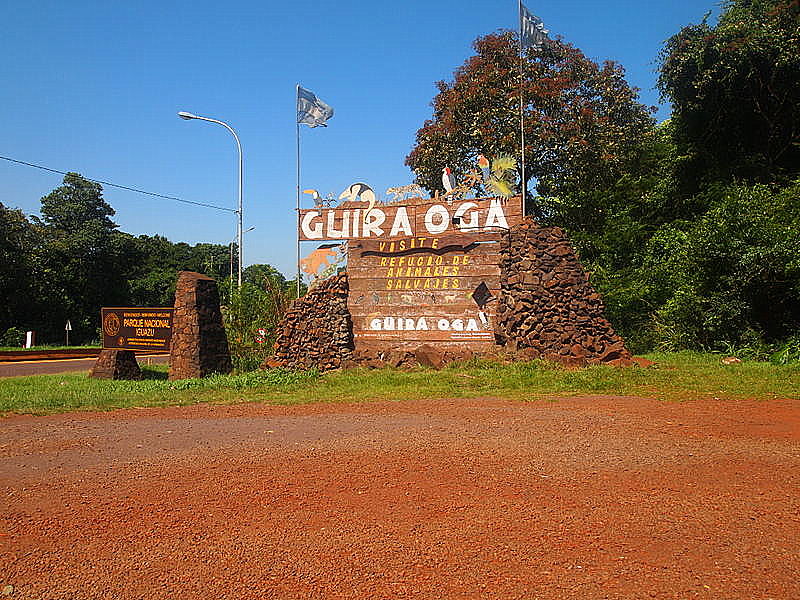 guira_oga.JPG