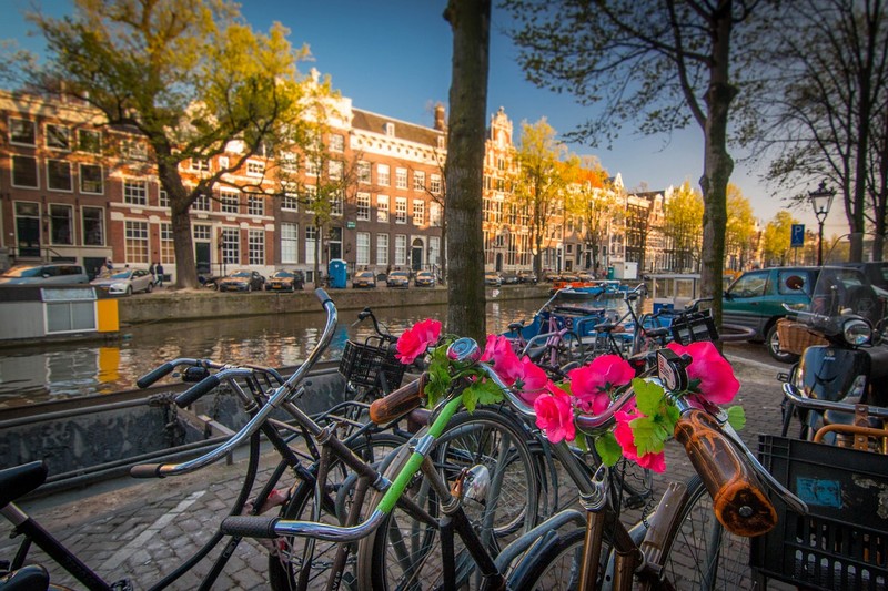 hollandia_amszterdam_3_foto_pixabay_com_neshom.jpg
