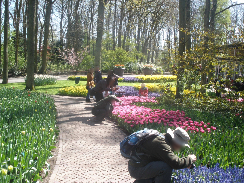 Keukenhof legjellemzobb poza.jpg