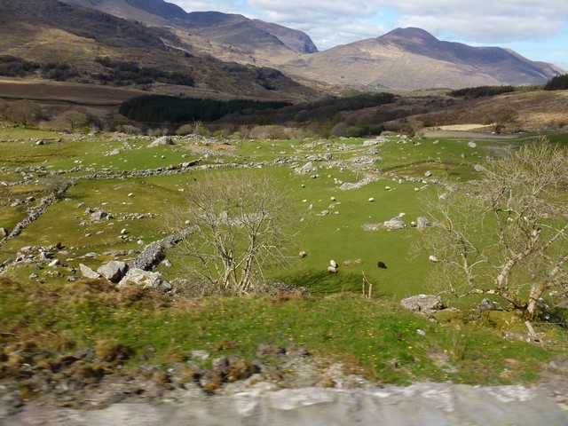 Killarney Nemzeti Park.jpg