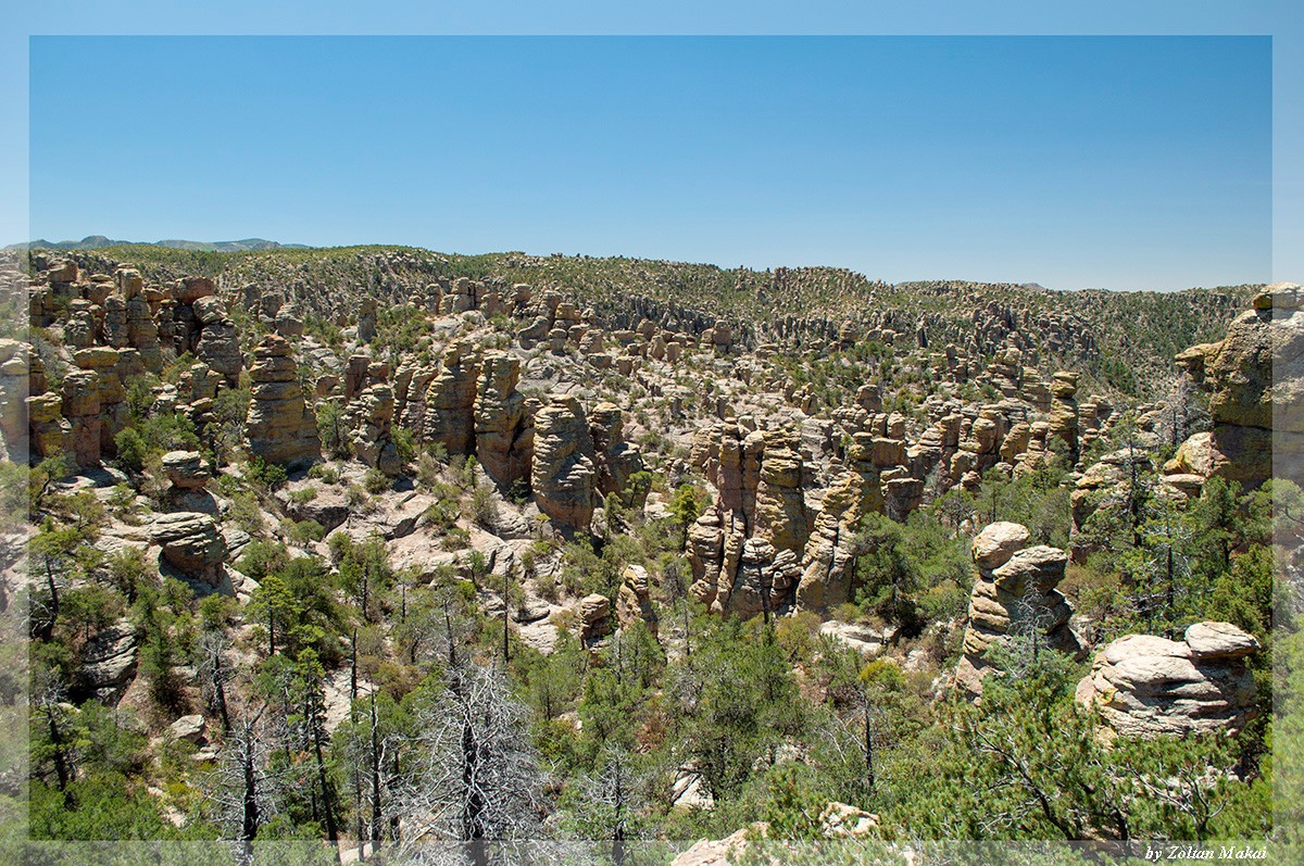 chiricahua_1.jpg