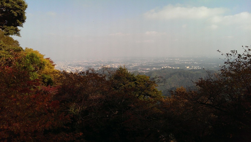 view_of_tokyo_from_mt_takao.jpg