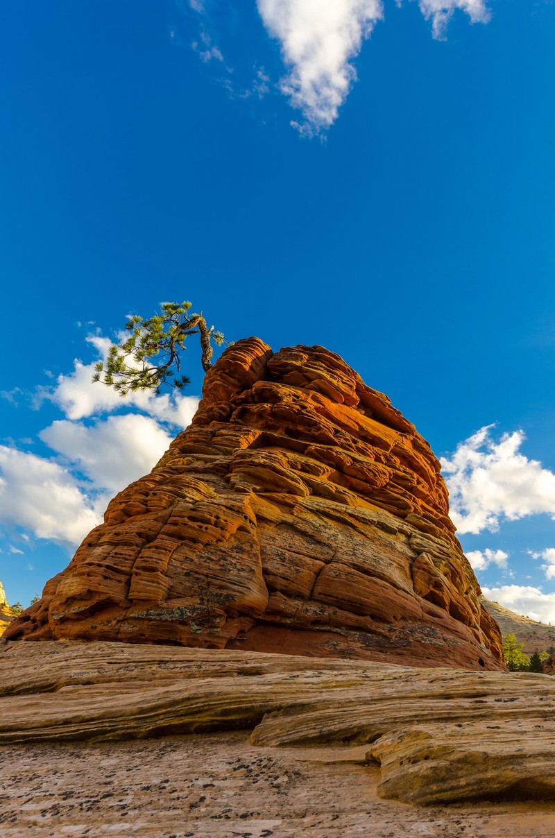 Zion National Park,Utah