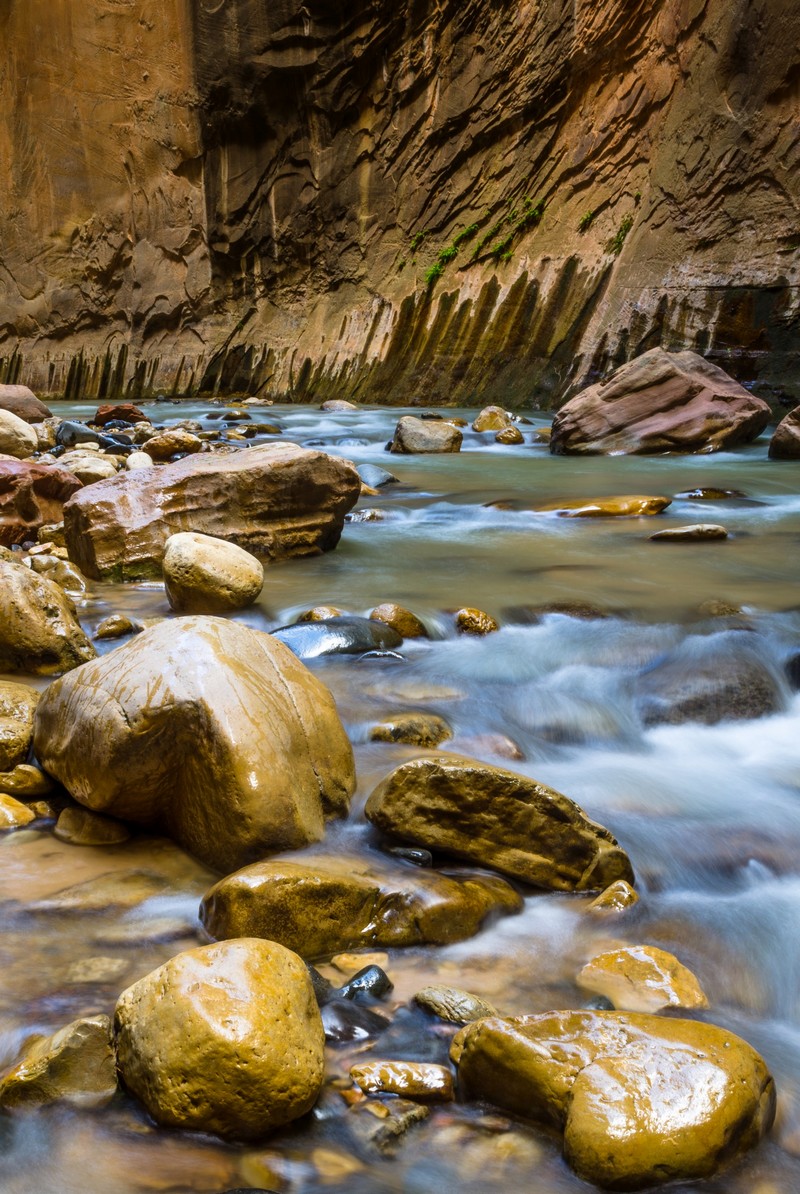 Zion National Park,Utah