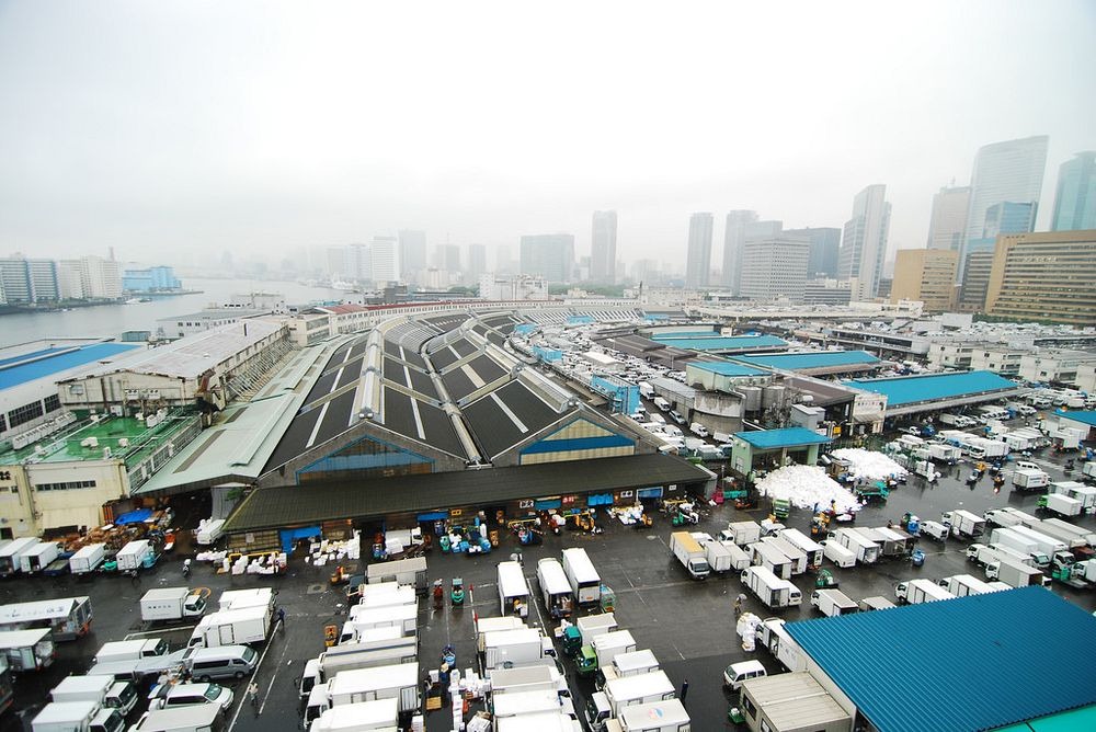 tsukiji-fish-market-46.jpg