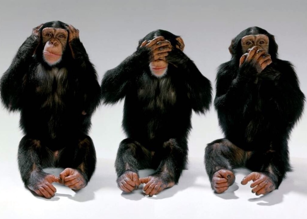 three_wise_monkeys_hear_no_evil_see_no_evil_speak_no_evil_body_language_nonverbal_communication_expert_expert_speaker_speaker_dr_jack_brown_dr_jack_brown_las_vegas_southern_california.jpg